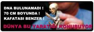 dna-yok-yaratik-dna-si-olmayan-yaratik